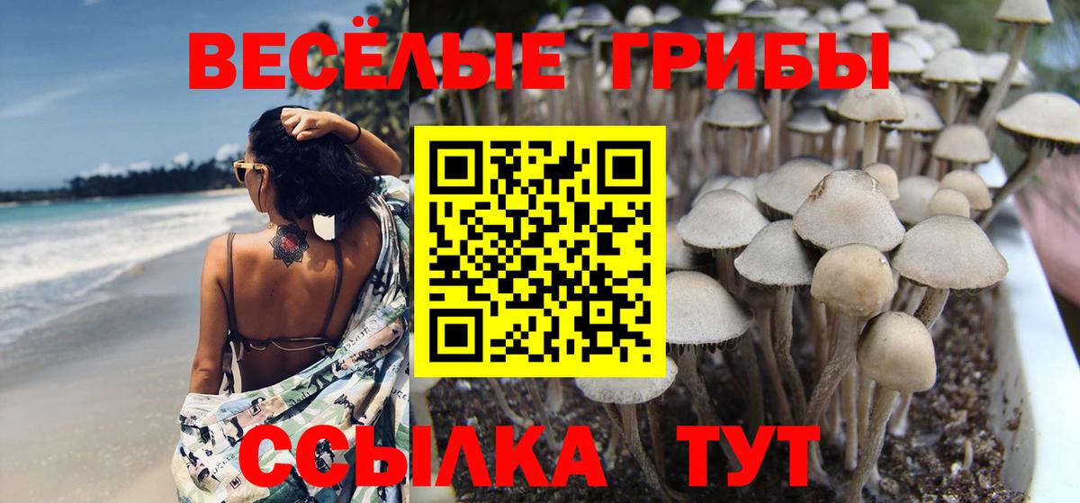 Галлюциногенные грибы Cubensis  Вход с VPN  даркнет сайт  Псилоцибиновые грибы Psilocybe  Пятигорск 