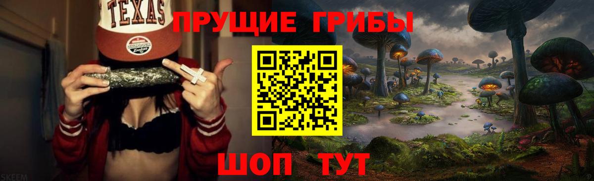 Псилоцибиновые грибы прущие грибы Пятигорск